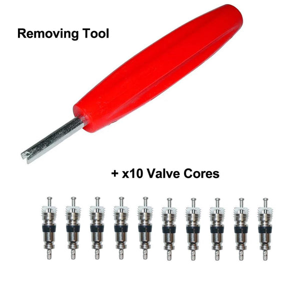 Regin Expansion Vessel Schrader Tool + 10 Valve Replacements